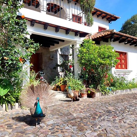 Hotel Y Jardines Casa Buho Антигуа-Гватемала Экстерьер фото