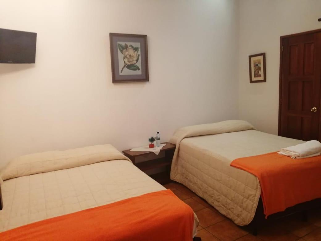 Hotel Y Jardines Casa Buho Антигуа-Гватемала Экстерьер фото
