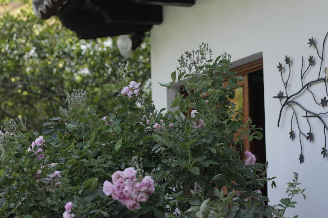 Hotel Y Jardines Casa Buho Антигуа-Гватемала Экстерьер фото