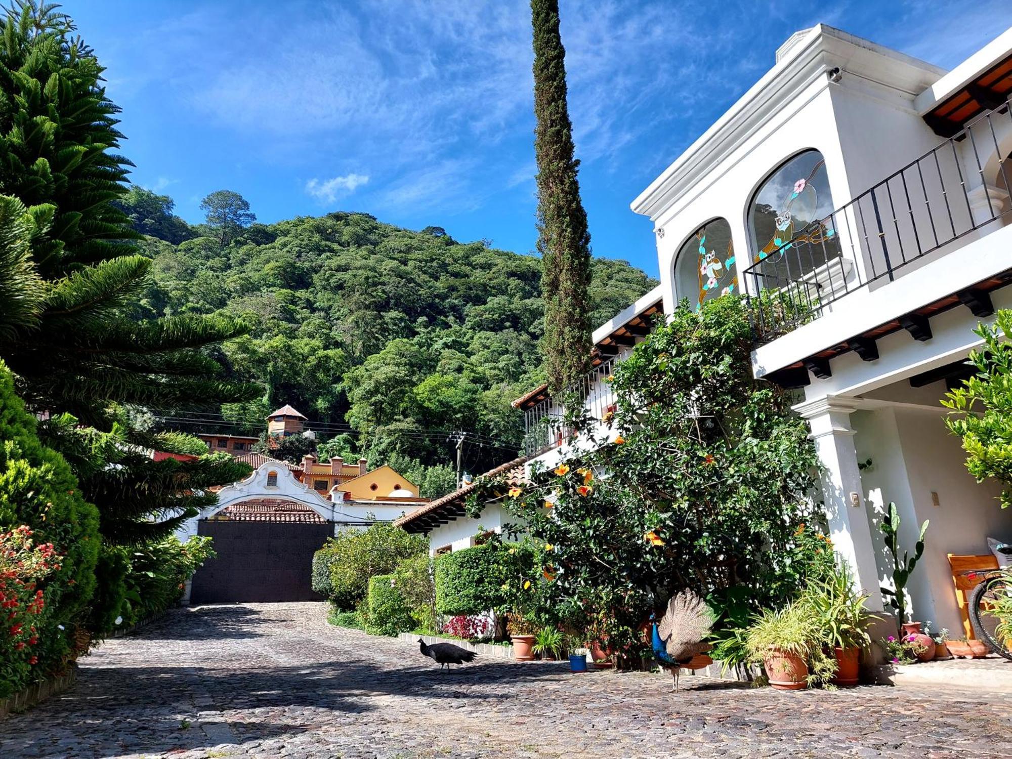 Hotel Y Jardines Casa Buho Антигуа-Гватемала Экстерьер фото